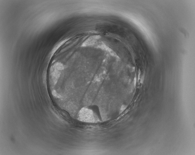 X0000114650099200911171058