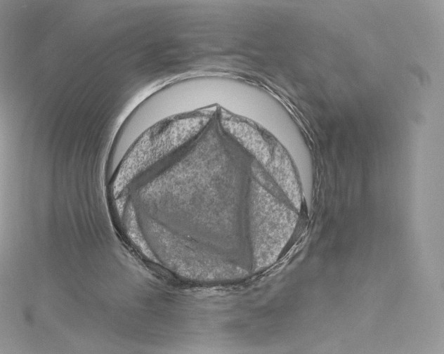 X0000114650100200911171058