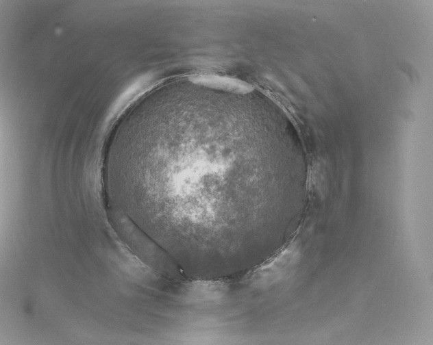 X0000114650101200911171058