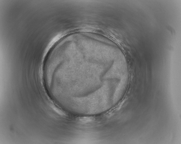 X0000114650102200911171058