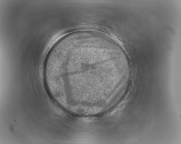 X0000114650103200911171058