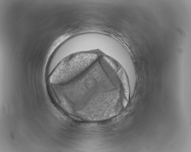 X0000114650104200911171058