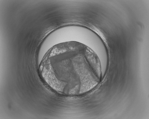 X0000114650105200911171058