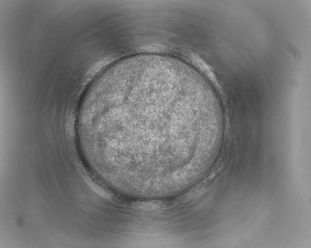 X0000114650106200911171058