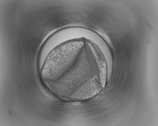 X0000114650108200911171058