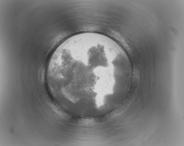 X0000114650110200911171058