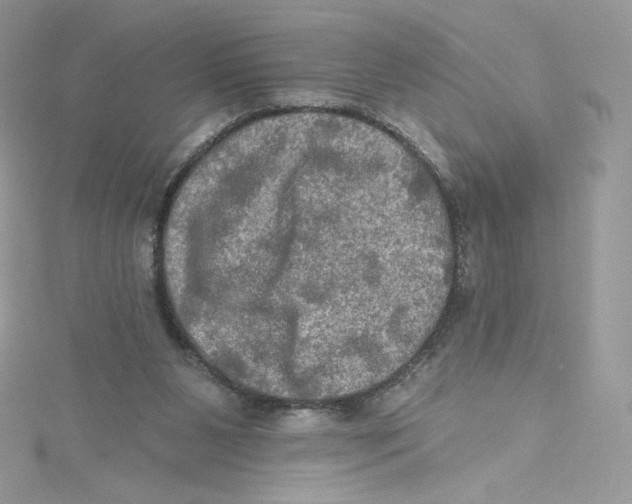 X0000114650111200911171058