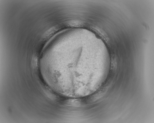 X0000114650117200911171058