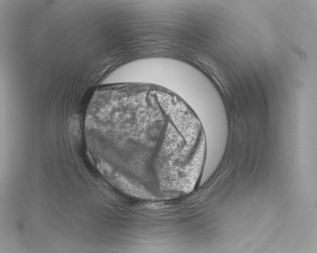 X0000114650121200911171058