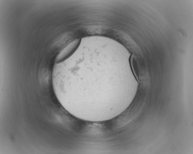 X0000114650125200911171058