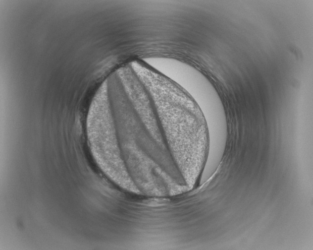 X0000114650128200911171058