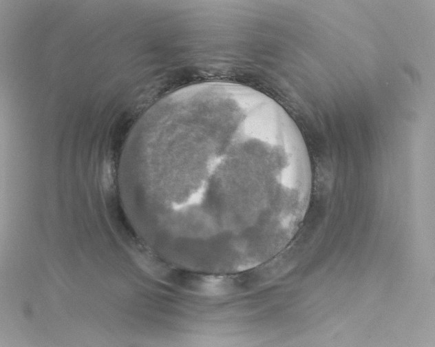 X0000114650130200911171058