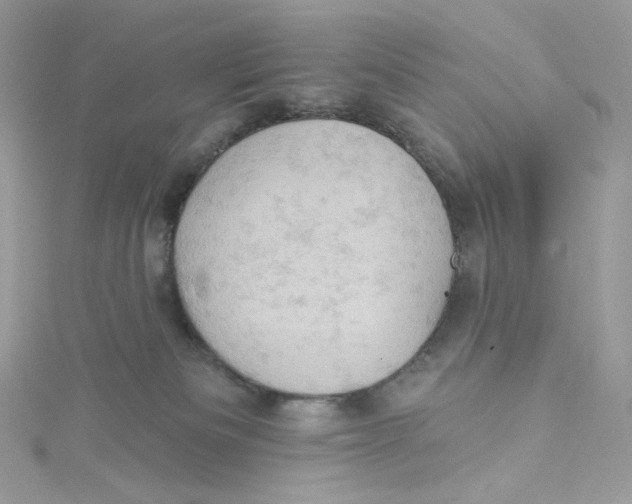 X0000114650133200911171058