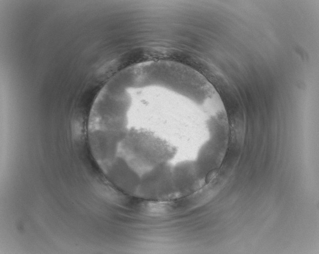 X0000114650134200911171058