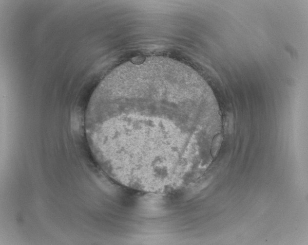 X0000114650138200911171058