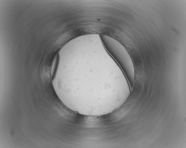 X0000114650141200911171058