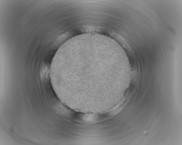 X0000114650142200911171058