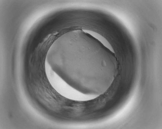 X0000114650143200911171058