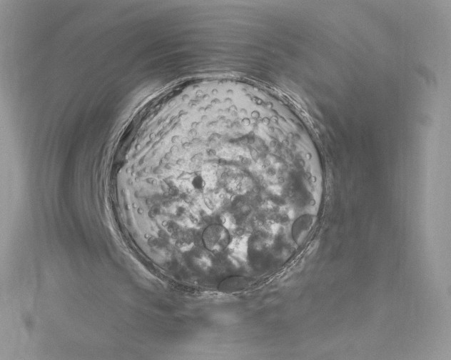 X0000114650145200911171057