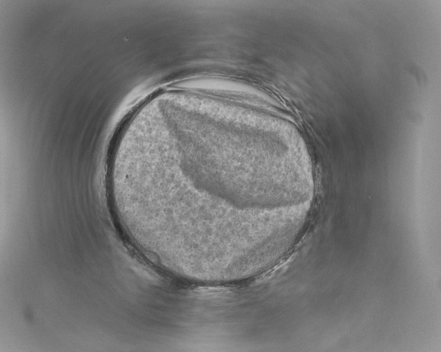 X0000114650150200911171057