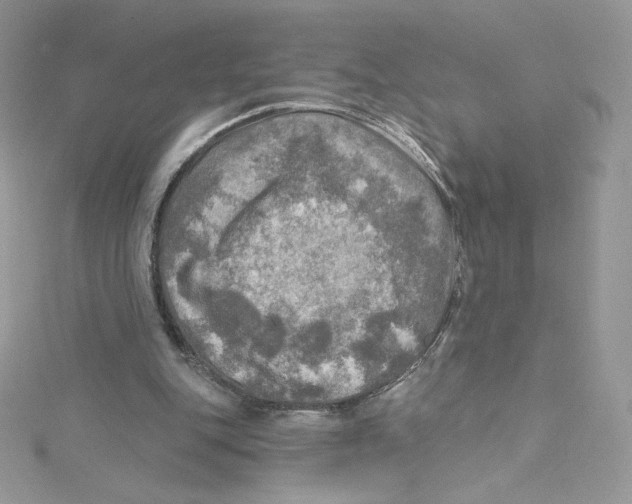 X0000114650151200911171057