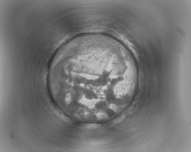 X0000114650153200911171057