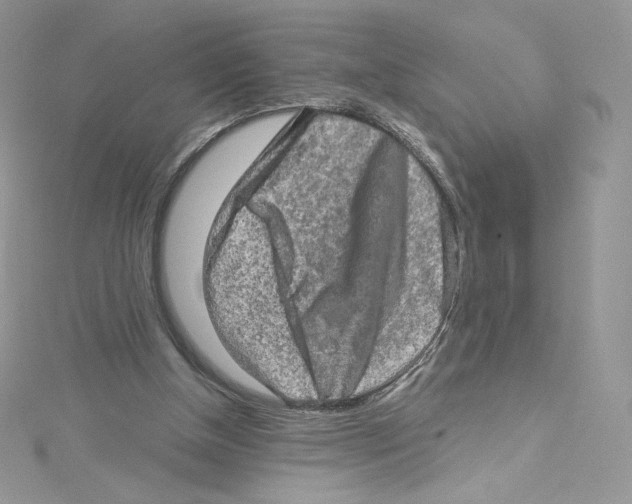 X0000114650154200911171057