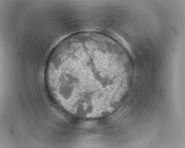 X0000114650155200911171057