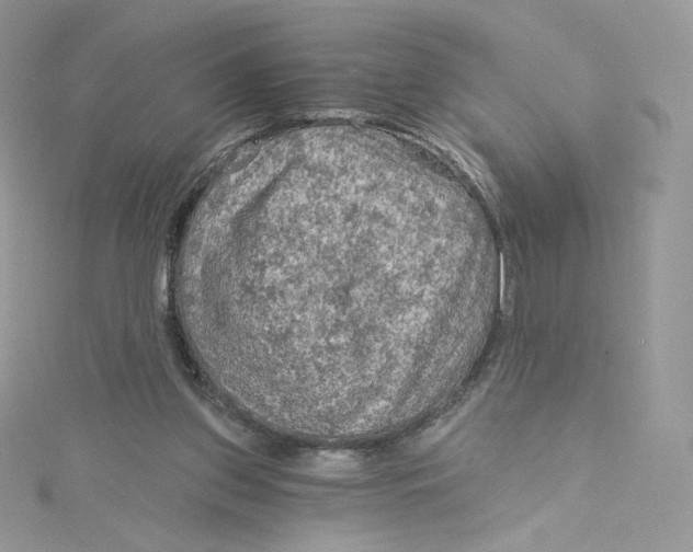 X0000114650157200911171057