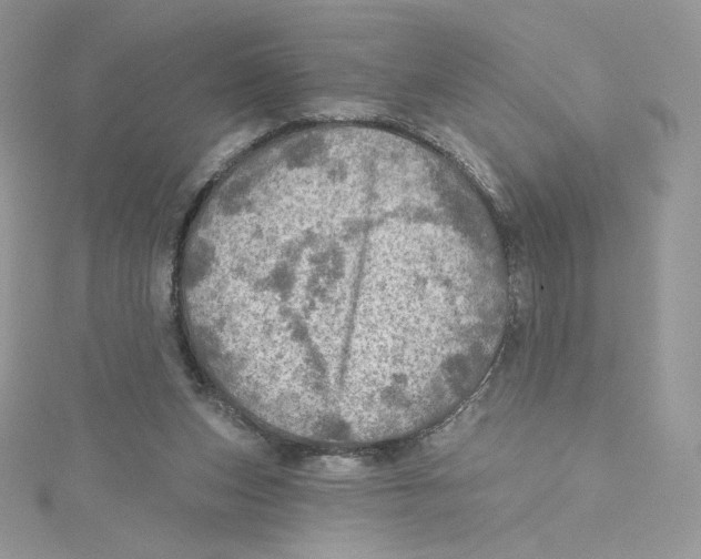 X0000114650159200911171057