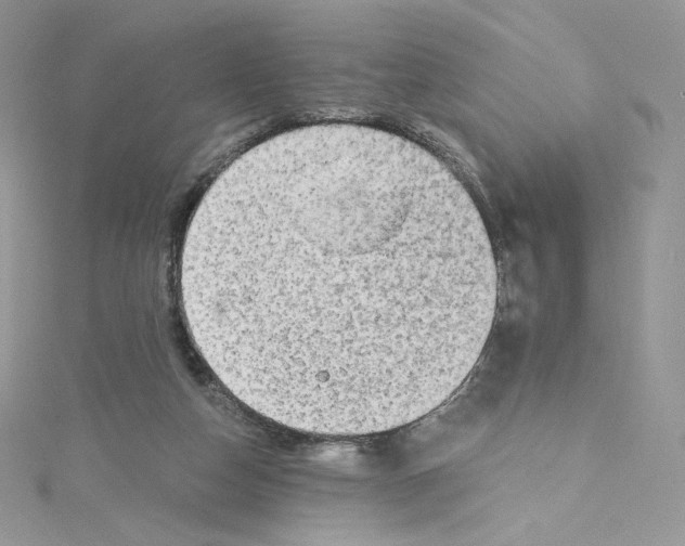 X0000114650162200911171057