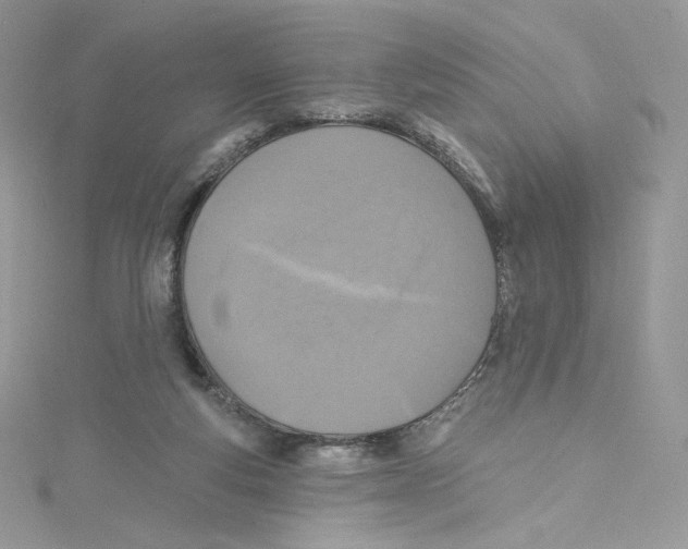 X0000114650163200911171057