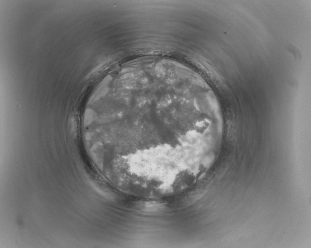 X0000114650165200911171057