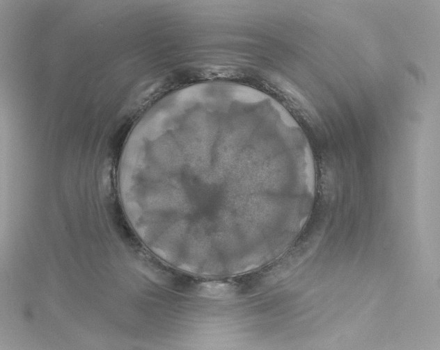 X0000114650169200911171057