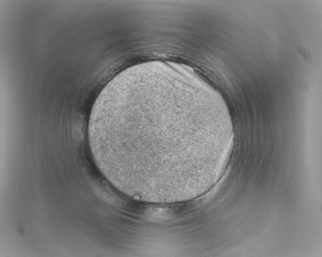 X0000114650174200911171057