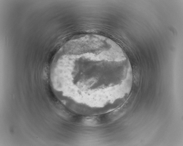 X0000114650175200911171057