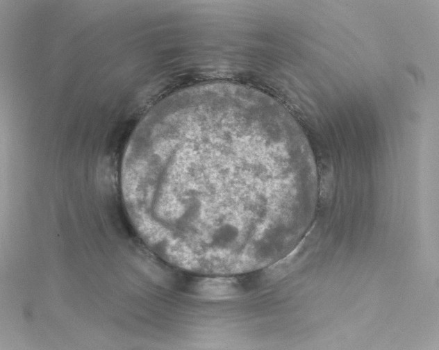 X0000114650179200911171058