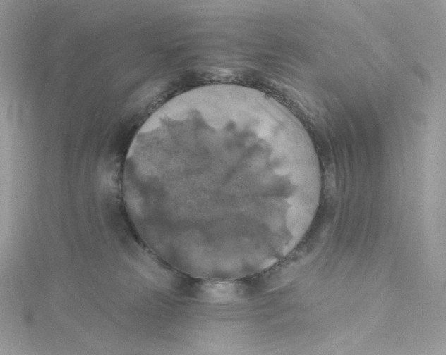 X0000114650181200911171058