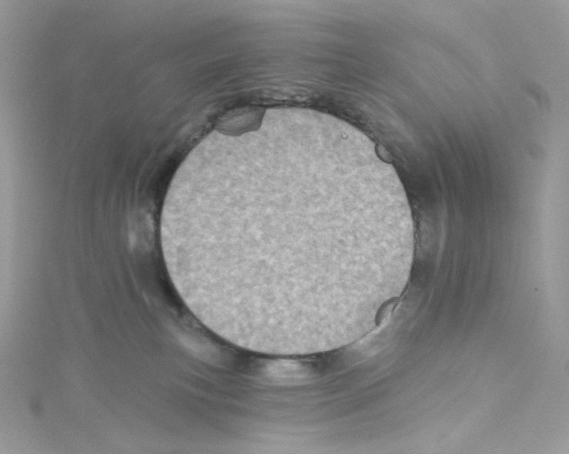 X0000114650183200911171058