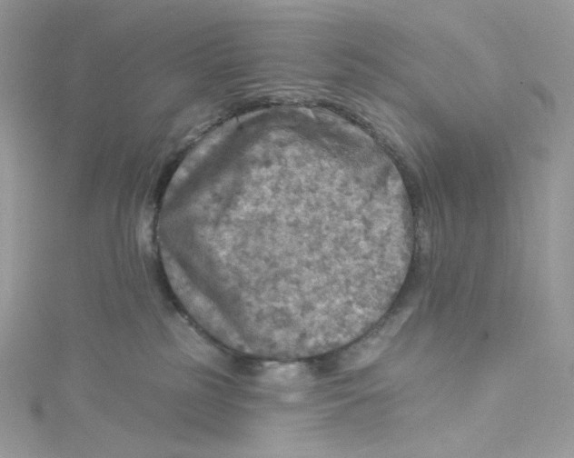 X0000114650185200911171058