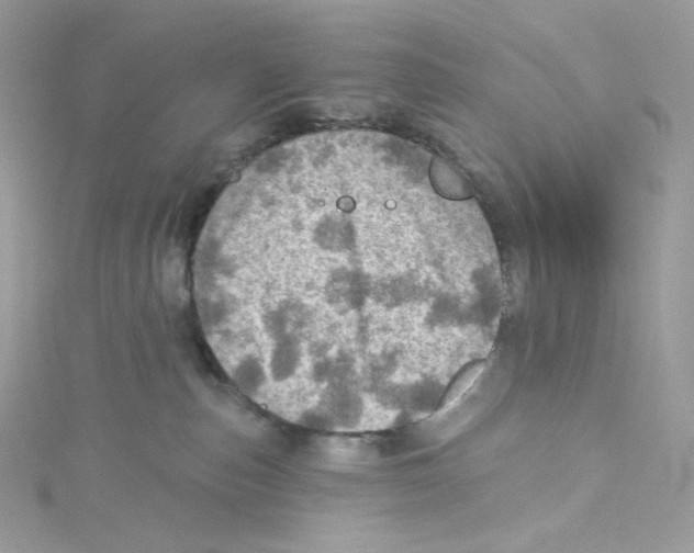 X0000114650187200911171058