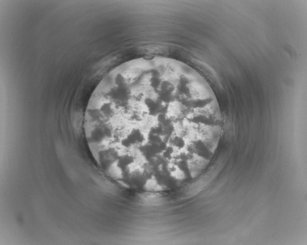 X0000114650189200911171058