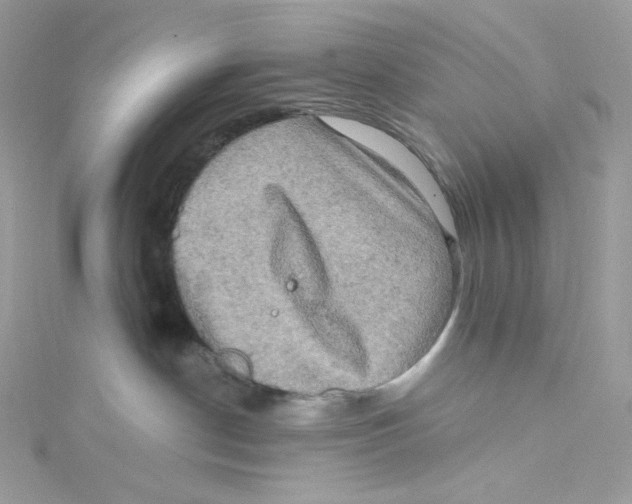 X0000114650190200911171058