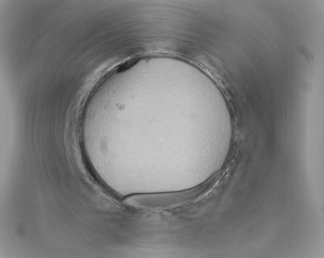 X0000114650193200911171057