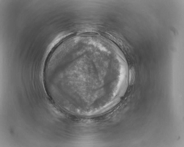 X0000114650195200911171057