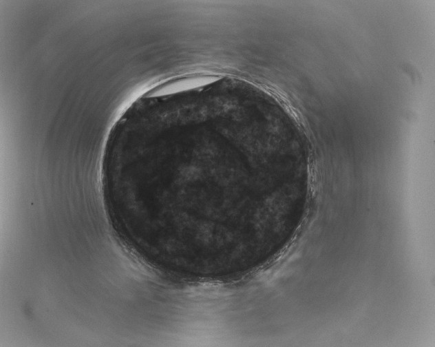 X0000114650196200911171057