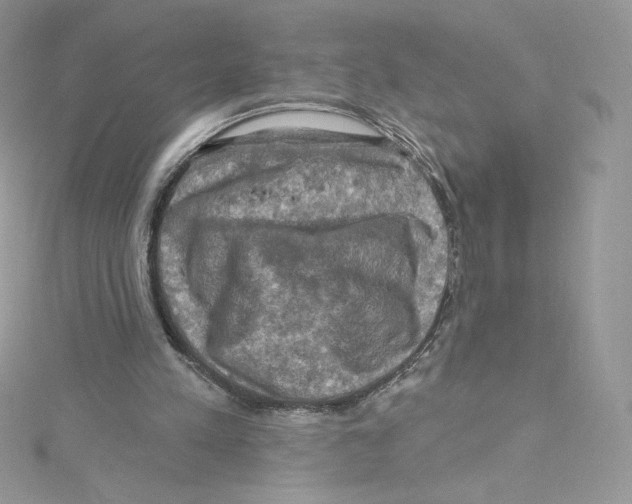 X0000114650197200911171057