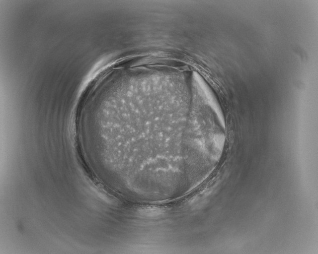 X0000114650198200911171057