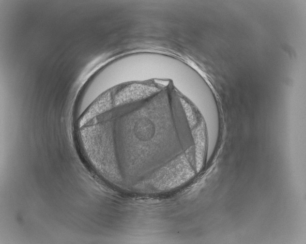 X0000114650199200911171057