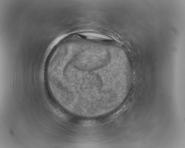 X0000114650200200911171057